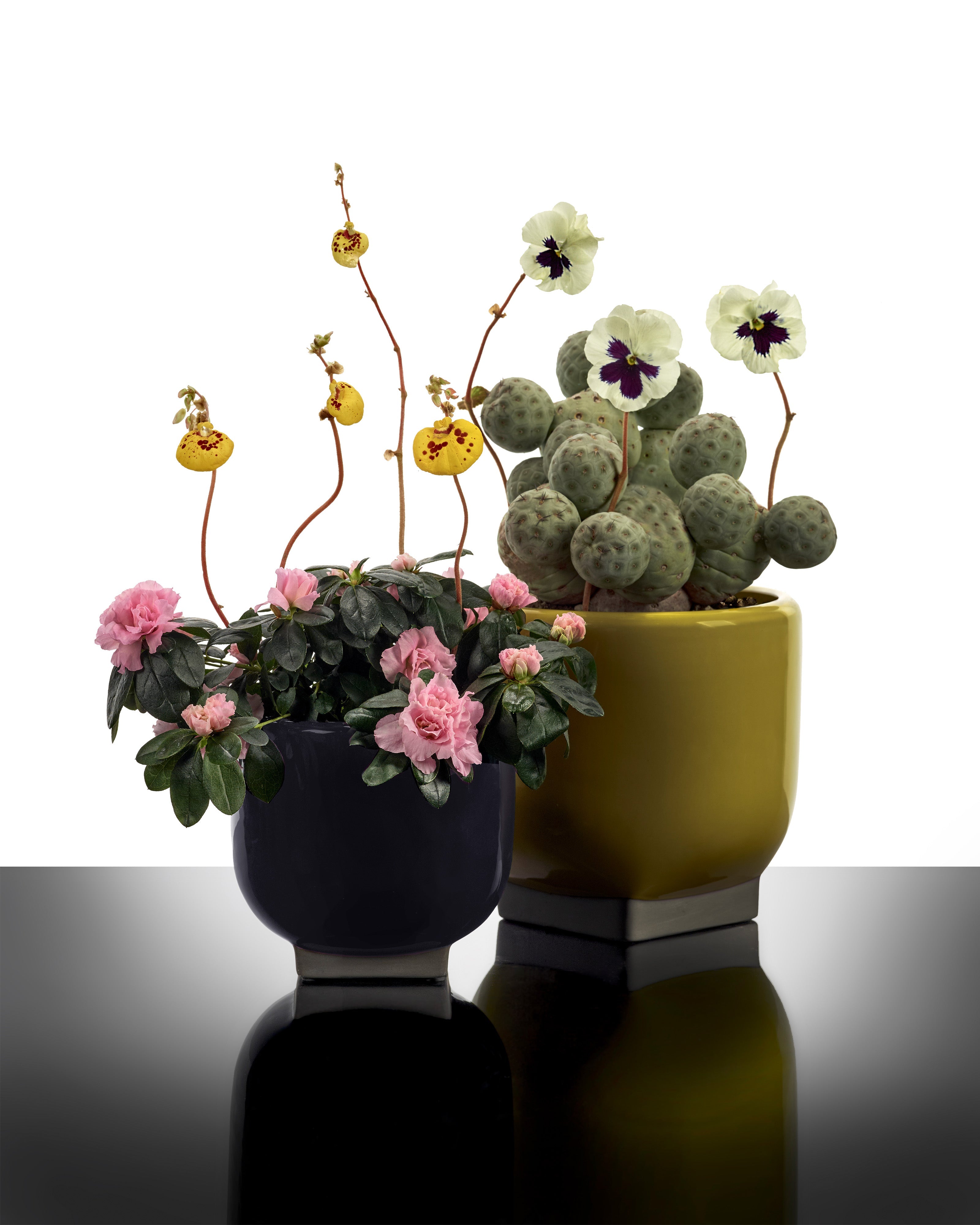 Kris Van Assche – SERAX