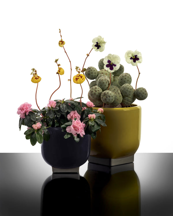Rosamar Flowerpots & planters