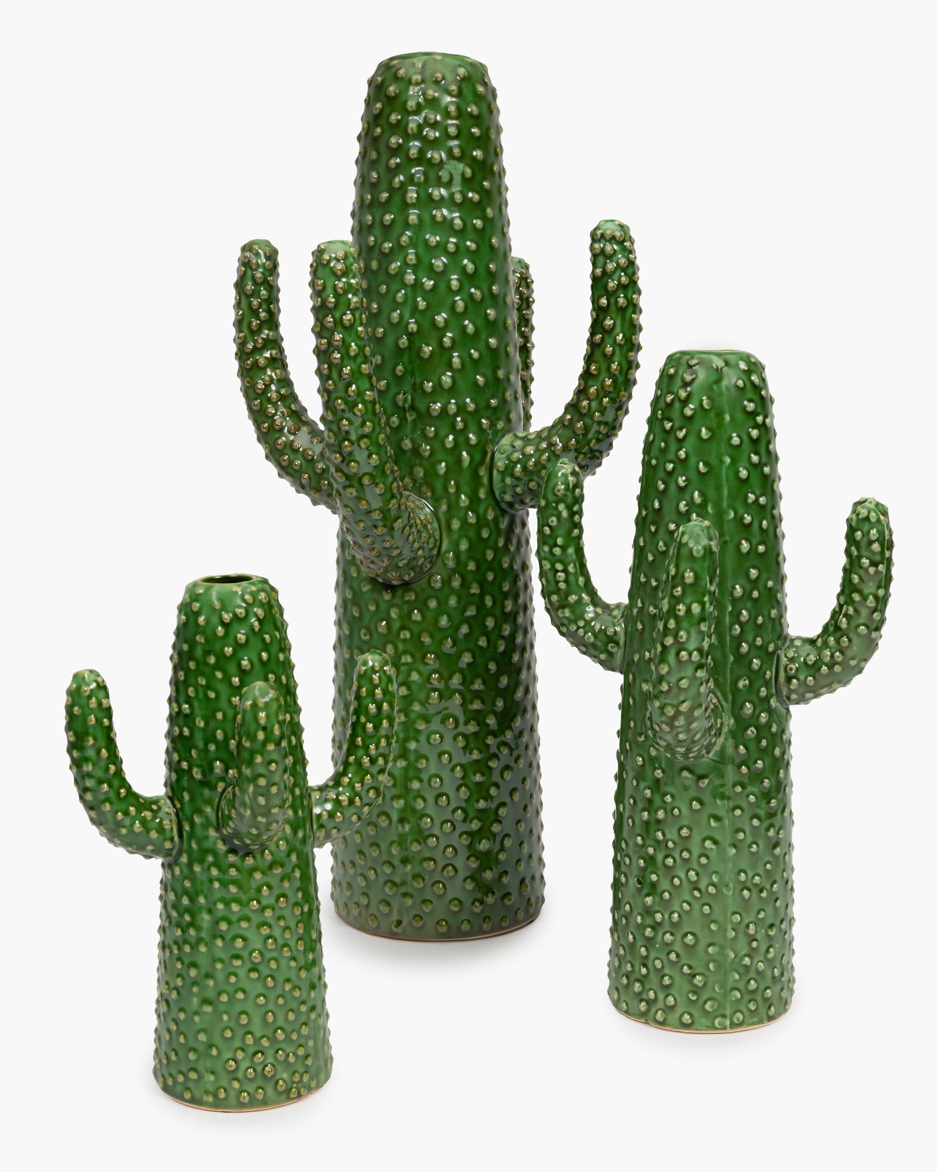 Cactus Vases By Marie Michielssen For Serax – SERAX