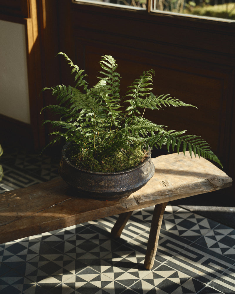 B5625008-704 Serax Kelly Wearstler