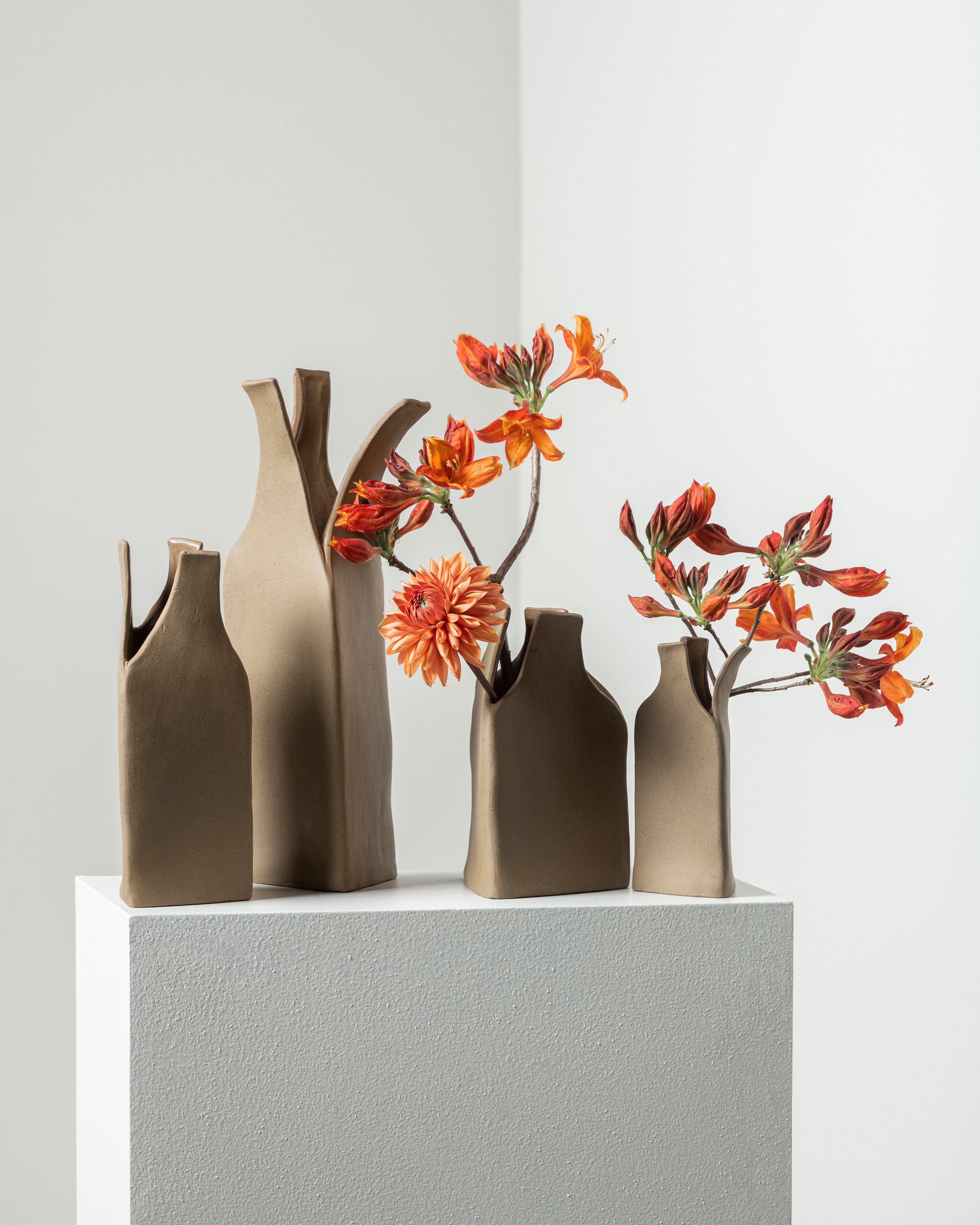 Vase S Flower bottles